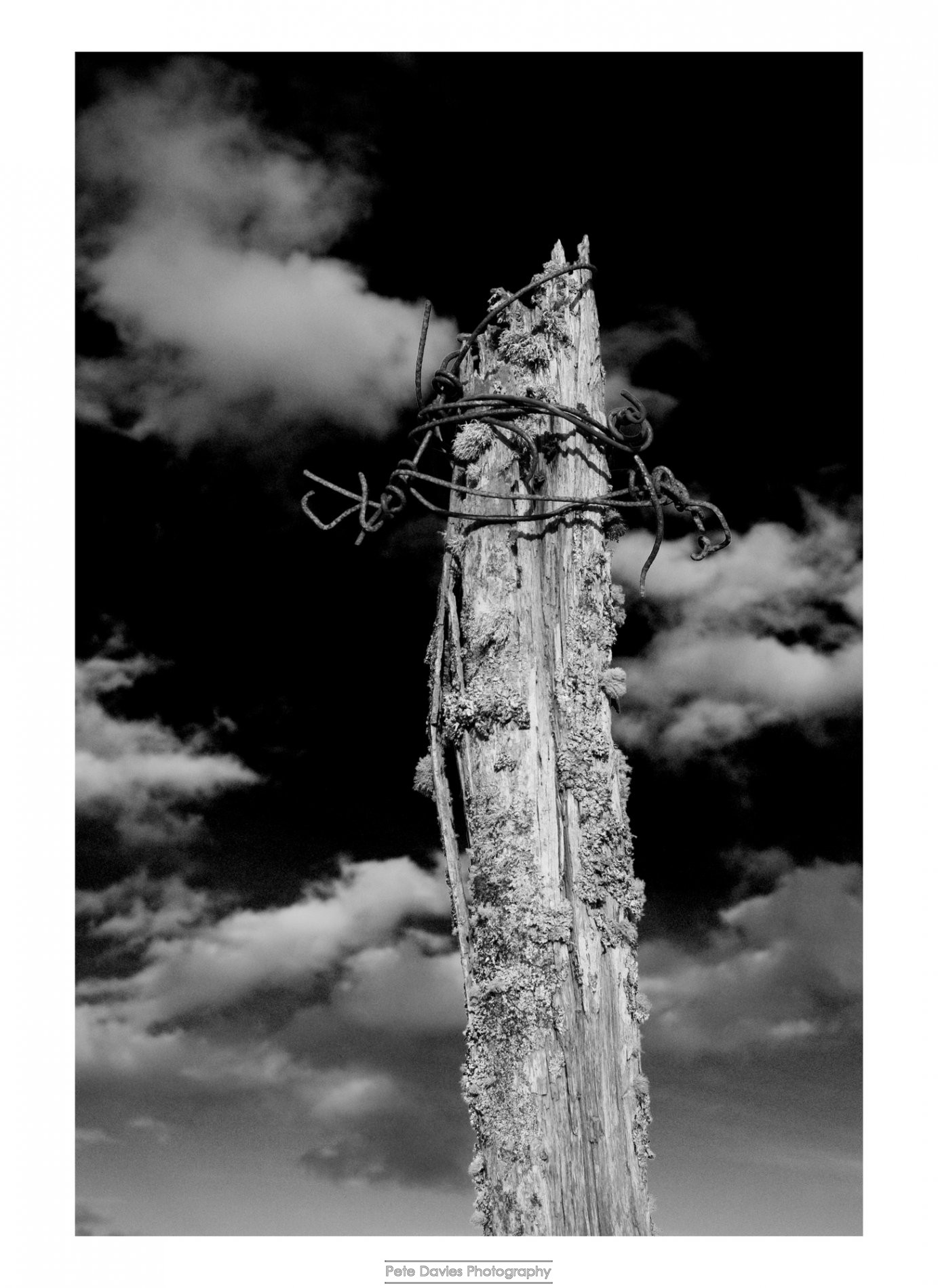 Marlborough College Staff Photo Competition