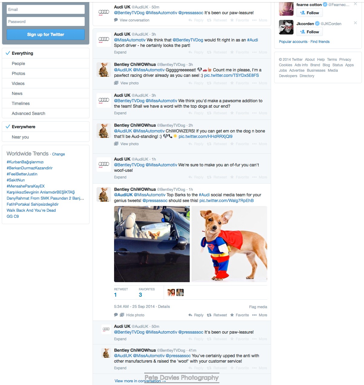 Bentley the Super Pooch trending on Twitter with Audi UK