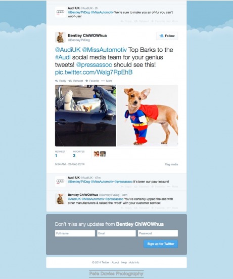 Bentley the Super Pooch trending on Twitter with Audi UK